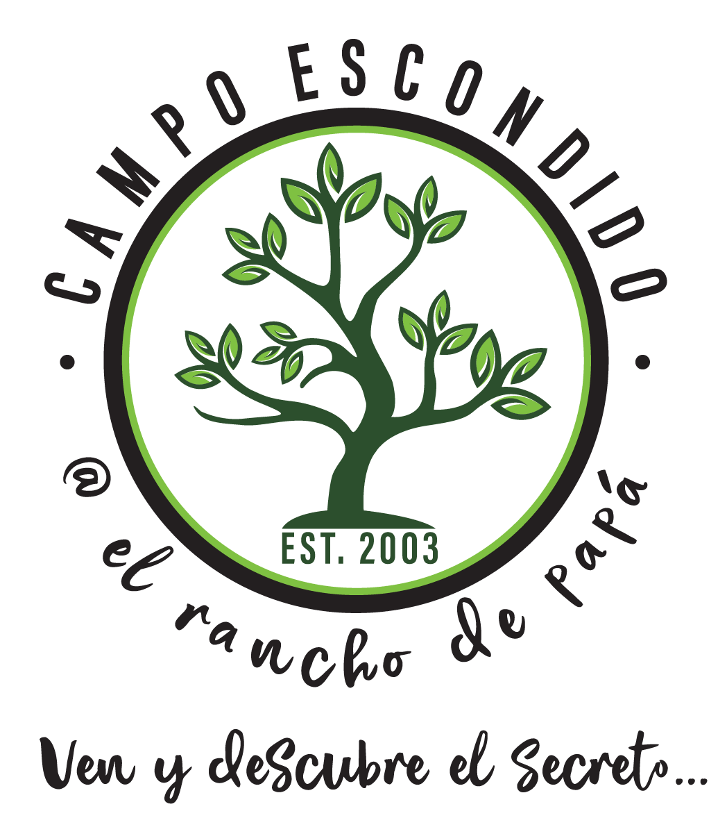 Prueba.CampoEscondido